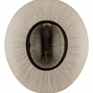 Bailey Hats Cattleman | Alameda Bangora Ivory/Brown