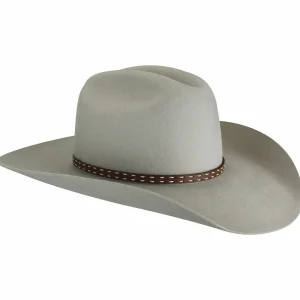 Bailey Hats Riding & Roping | Easton 2X Silver Grey