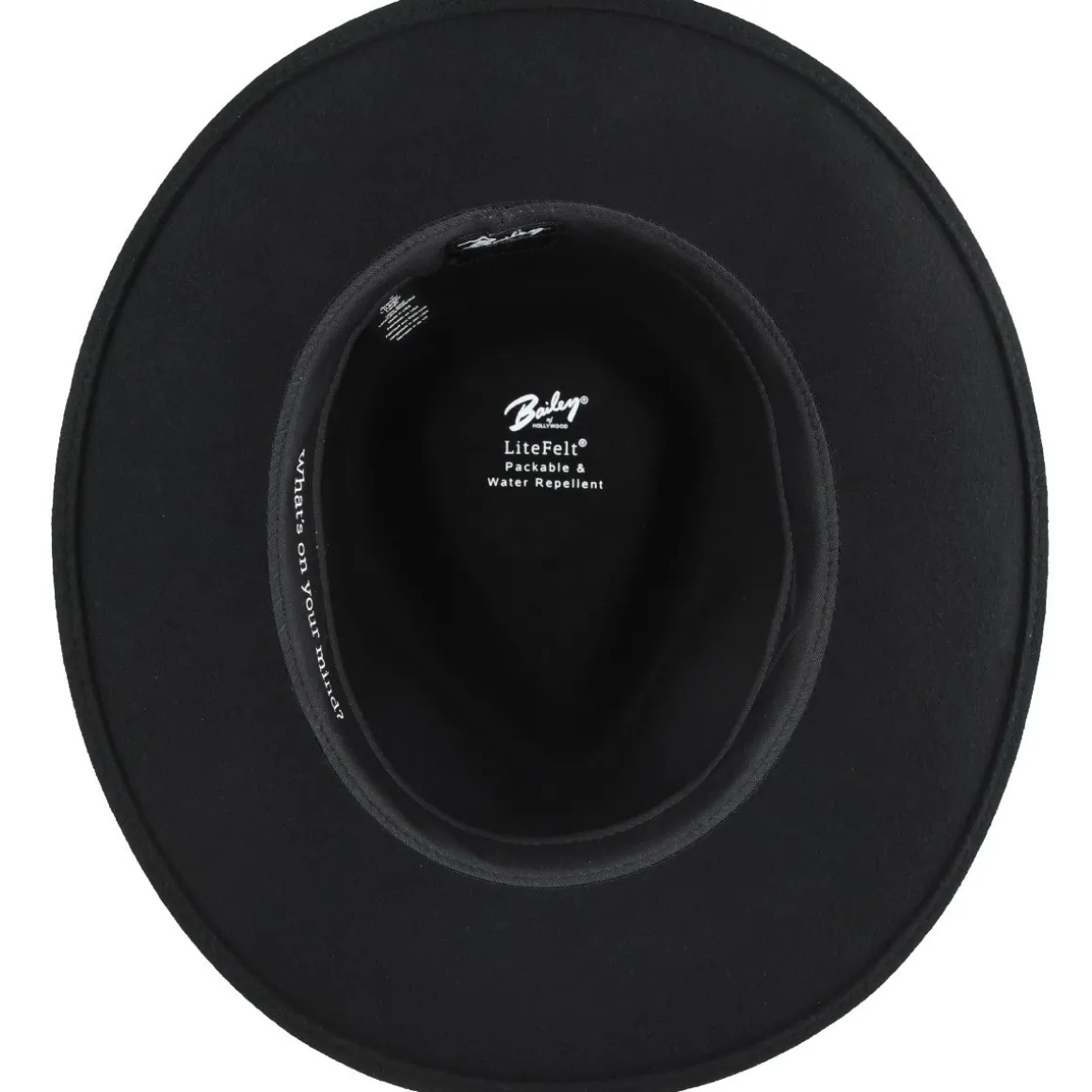 falcon_5-3.webp Bailey Hats Wool Felt | Falcon