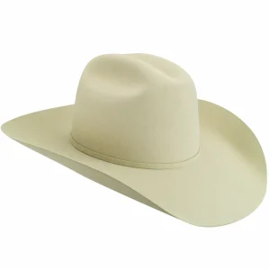 Bailey Hats Western & Cowboy Hats | Gage 10X