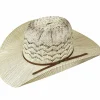 Bailey Hats Bull | Gotebo Ivory/Brown