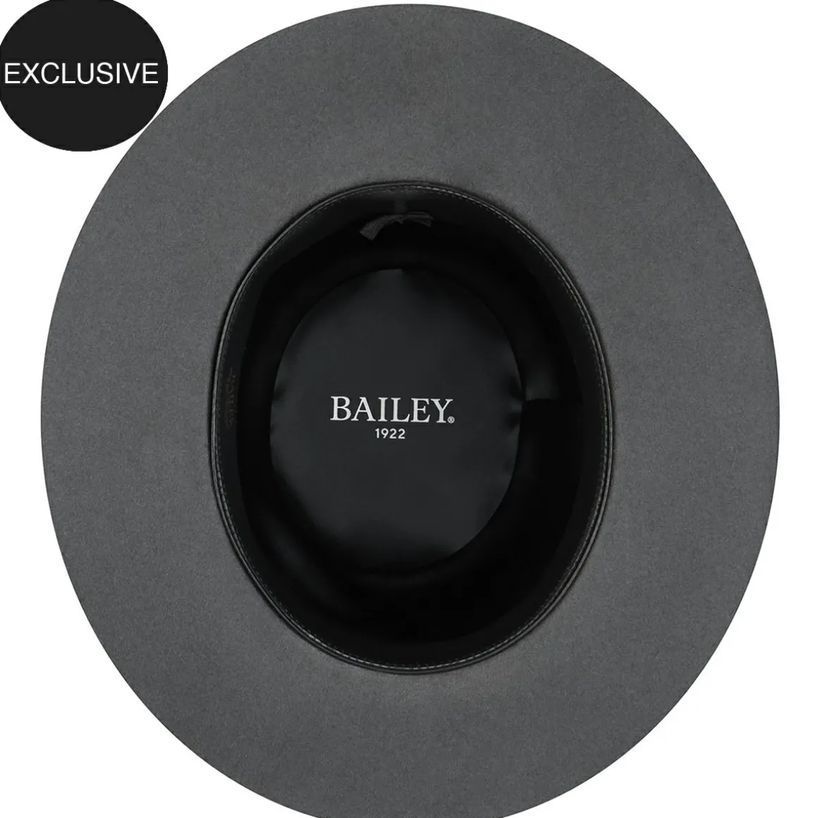 limited_edition__tarleton_4-4.webp Bailey Hats Wide Brim | Limited Edition - Tarleton Senate
