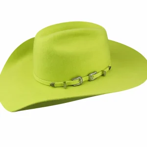 Bailey Hats Riding & Roping | Renegade® Punchy